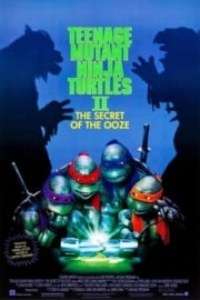 Ninja Kaplumbağalar 2: Sızıntının Esrarı